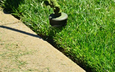 lawn care chula vista ca|TOP 10 BEST Lawn Care in Chula Vista, CA